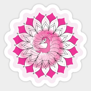 Peacock Pink Sticker